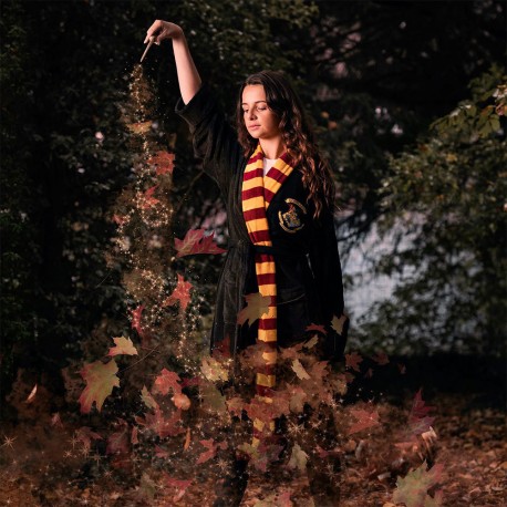 Harry Potter – Guirlande lumineuse – Poudlard en 2D Traditional