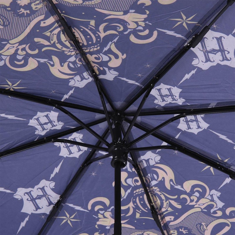 Parapluie Serdaigle, Harry Potter