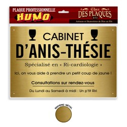 Plaque Métallique Professionnelle Cabinet d'Anis-Thésie